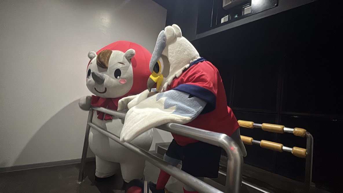 コンサ5